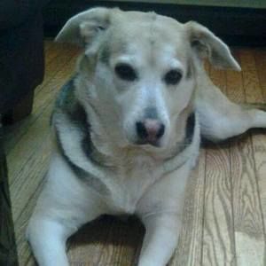 Meet your Posher, Joan